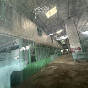 cho thuê kho, nhà xưởng tại hồ xuân hương, 80 triệu, 3700m2