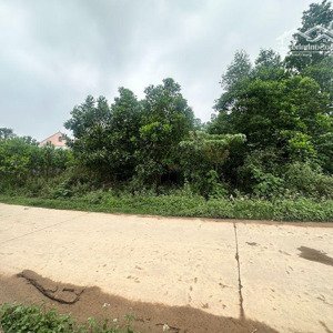 736m2 đất trang trại, làm nhà vườn, homestay tại bắc sơn - sóc sơn giá 1,3 tỷ