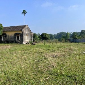 Bán Trang Trại, Khu Nghỉ Dưỡng Tại Lương Sơn, Sông Công, Thái Nguyên, Giá Thỏa Thuận, 6500m2