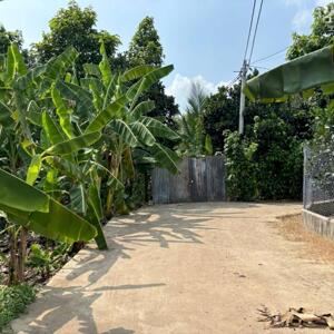 CHÍNH CHỦ BÁN GẤP VƯỜN GẦN SÂN BAY LONG THÀNH – CÓ THỔ CƯ – GIÁ CHỈ 1TR9/M² (THƯƠNG LƯỢNG)