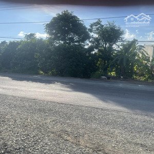 Bán đất Mặt Tiền 15m Tại Tỉnh Lộ 1, Tân Hòa, Buôn đôn, đắk Lắk, Giá Cực Chất 3 Tỷ.