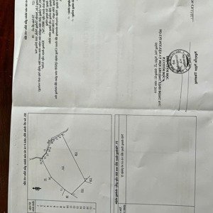 bán đất tại xã hưng lộc, giá thỏa thuận, 1300000 m2