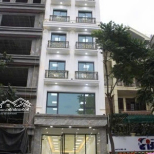 chính chủ cho thuê nhà mặt phố vũ tông phan, mặt tiền: 11m. diện tích 70m2 x7 tầng, giá 90tr