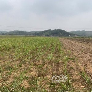 cần bán 5ha đất sản xuất kinh doanh tại thị trấn vân du thạch thành nguồn lao động dồi dào
