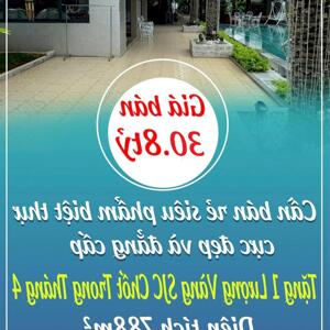 Cần bán rẻ siêu phẩm biệt thự cực đẹp và đẳng cấp mặt tiền đường, Tặng 1 Lượng Vàng SJC Chốt Trong Tháng 4 ngay trung tâm TP. Bà Rịa