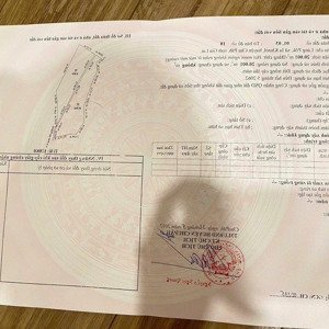 gia đình đi nước ngoài cần bán gấp vườn su 8 năm.
diện tích: 20.001 m2 vị trí đất quy hoạch