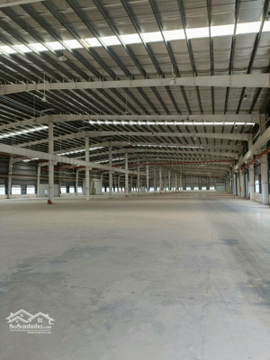 cho thuê kho xưởng khu công nghiệp phú an thạnh. huyện bến lức