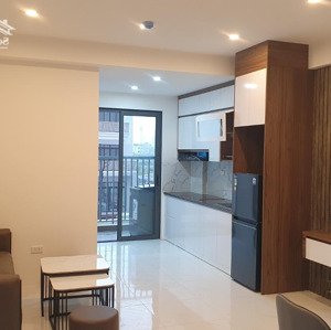 Cho Thuê Căn Hộ Chung Cư 2 Phòng Ngủ 54m2 Khu đô Evergreen Tràng Duệ