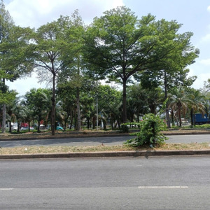 shop happy valley, nguyễn văn linh, phú mỹ hưng, 85m2