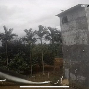 bán rẫy có sổ đỏ chính chủ, phù hợp cho người vừa làm vườn vừa làm việc khác