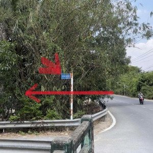 Cắt Lỗ Cần Bán Gấp đất Nông Nghiệp Cho Con đi Du Học - Cơ Hội đầu Tư Sinh Lời