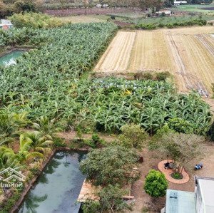 Bán Trang Trại, Nhà Vườn, Khu Nghỉ Dưỡng View đẹp Tại Xã Hòa Phú - Tp. Buôn Ma Thuột