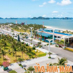 giỏ hàng cho nhà đầu tư bđs tại phương đông vân đồn nhịp chân sóng