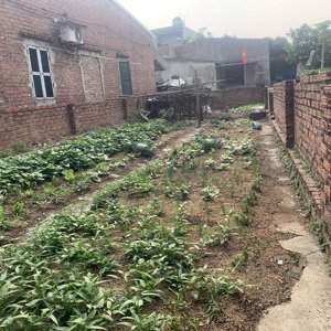 bán nhanh 100m full chính chủ .sổ đẹp giao dịch nhanh tại song mai-mai đình