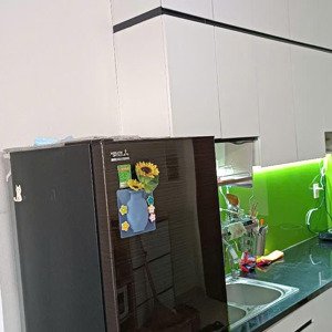 chính chủ cho thuê căn hộ topaz home - tầng cao, thoáng mát, nhận nhà ngay