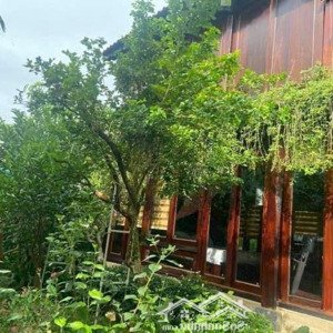 Biệt Thự Gỗ Tâm Huyết Cần Bán Gấp Chỉ 6,5 Tỷ. Toạ Lạc Diên Khánh -khánh Hòa