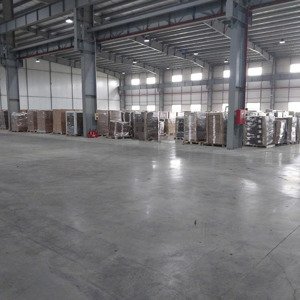 nhà xưởng mới, hệ thống giao thông thuận lợi