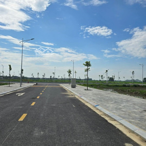 đất đấu giá mbqh520 rừng thông
