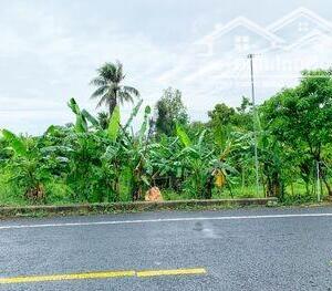 Bán đất Nguyễn Văn Cừ – đoạn đẹp gần khu dân cư Mỹ Khánh