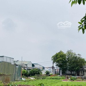 bán đất tại quỳnh đô, 25 triệu vnd/m2, 160 m2, giá siêu hời