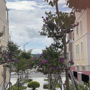 parasol sổ đỏ trao tay, xẻ khe giá tốt nhất giỏ hàng chỉ hơn 5 tỷ