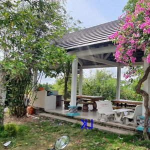 Bán Trang Trại: 51.000m² - Sầu Riêng, Mít. Có Bán Riêng Lẻ. đt 850, Xã Láng Biển, H Tháp Mười.