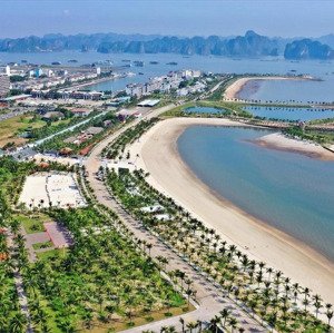 bán ô đất biệt thự đồi tuần châu hạ long quảng ninh. 500m2