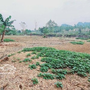 bán đất 1800m2 tại xã trần phú, chương mỹ, hà nội, giá 4 triệu / m2, đẹp, nhiều tiện ích xung quanh