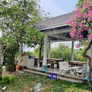 Bán Trang Trại: 51.000m² - Sầu Riêng, Mít. Có Bán Riêng Lẻ. ĐT 850, Xã Láng Biển, H Tháp Mười, Đồng Tháp.
