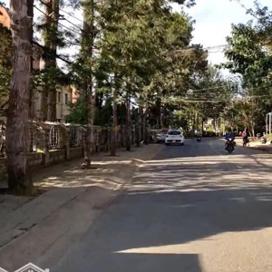 cho thuê nhà nguyên căn đường yersin, phường 10, đà lạt, 90 triệu, 102m2 giá tốt