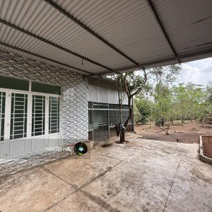 nhà vườn gần sân bay long thành mặt tiền đường 770b, sẵn vườn nhà vườn cây ăn trái, có 300m2 thổ cư
