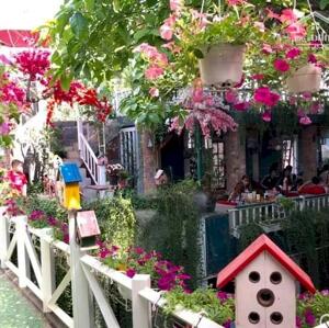Bán quán cafe sân vườn 661m2 , Mặt Tiền Nguyễn Ảnh Thủ , TP HCM , Giảm 21 tỷ , Lh 0939208616