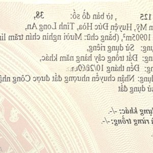 nhanh tay sở hữu đất nền đẹp tại tân mỹ, đức hòa, long an với diện tích 10905 m2