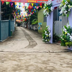 bán đất nền chính chủ rộng 213m2, gần nhiều tiện ích, cụm 1 thọ xuân, đường cực nam, đan phượng, hn