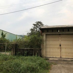 nhà cho thuê mặt tiền đường hoàng quốc việt có vườn to