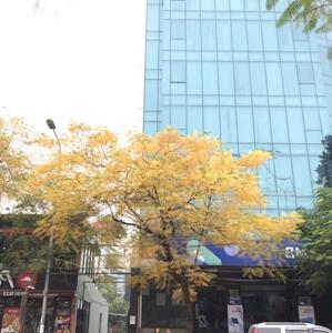 Tòa nhà văn phòng 28 Xuân La cho thuê tầng 5 làm văn phòng.