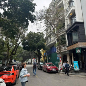 chính chủ bán nhà mặt phố mai hắc đế nhà 7 tầng, 110m, hai bà trưng. kd, vỉa hè kinh doanh 82 tỷ