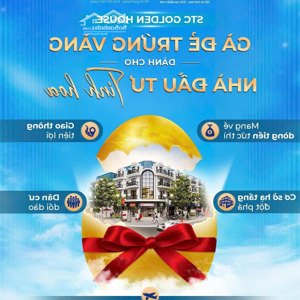 stc long thành - "mảnh đất vàng" đón đầu sân bay quốc tế