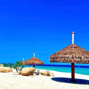 cắt lỗ sunpark - parasol. giá cực tốt. vị trí cực đẹp, sở hữu 3 công viên quanh nhà. lh: 0384909951