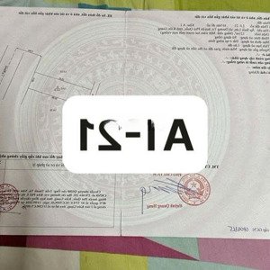 chính chủ gửi bán vài nền hoa hậu giá tốt, phù hợp đầu tư tại khu tái định cư suối lớn, phú quốc