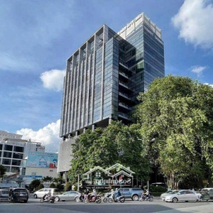 bán tòa nhà cao cấp trần đình xu, phường cô giang, quận 1-9,5x16m(5 tầng+tm)-hđt 180tr/th-45 tỷ.