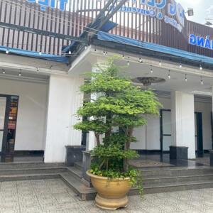 Cần Cho Thuê Hoặc Sang Lại Nhà Hàng Tiệc Cưới Tại Thủ Khoa Huân, Thuận An, Thuận Giao, Bình Dương