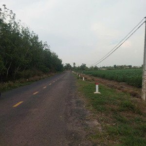Bán Gấp Hơn 7,5 Hecta đất Cln Tại Xã Ninh điền, Châu Thành, Tây Ninh, Giá 17ty Thương Lượng Chủ