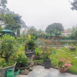 Bán Khu Nghỉ Dưỡng - đông Tảo Pháp Lý Rõ Ràng, ở Ngay Dt 1223m2, 20tỷ.
Full Tiện ích Vườn, Ao .....