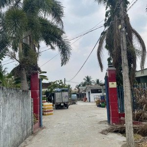 đất Thổ Vườn đang Làm Trang Trại Chủ Ngộp Cần Bán Gấp Giá Rẻ Tại Thành Phố Tân An - Long An