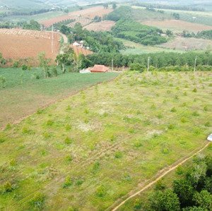 Bán 6,5 Ha Sầu Riêng ở Ealy Sông Hinh Phú Yên
