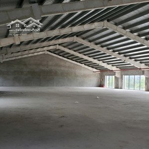 Cho Thuê Nhà Xưởng, Diện Tích Có Thể Tối ưu Theo Nhu Cầu Sử Dụng.
