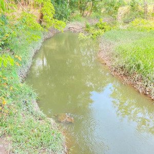 ngộp sang hơn 1100m2 đất vườn bao suối -cách trục đường dh chỉ 100m, dân cư hiện hữu giá chỉ: 530tr