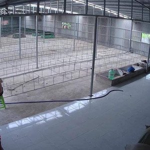 Chính Chủ Bán Nhà Xưởng 700m2 Hàng Hiếm Giá Tốt đường 14b, Hòa Phong, Hòa Vang, đà Nẵng, 2,35 Tỷ