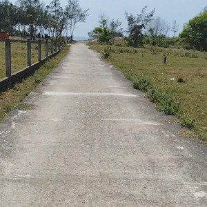chào bán lô đất biển - cách biển 200m - đầu tư tốt